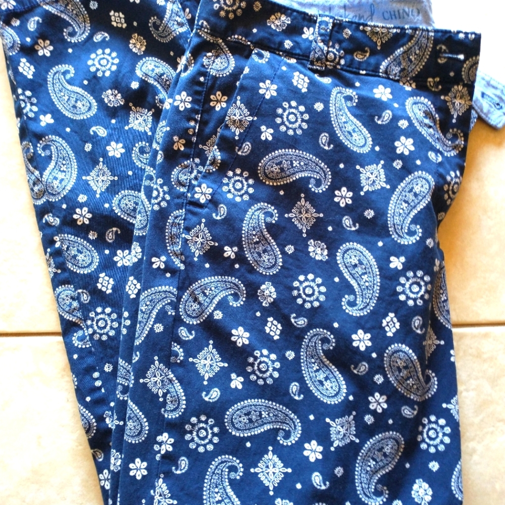 Talbots Navy Blue Paisley Print Pants